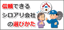 信頼できるシロアリ業者の選び方