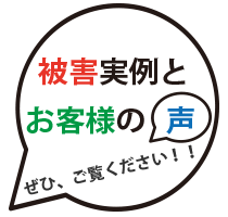 被害の実例/お客様の声